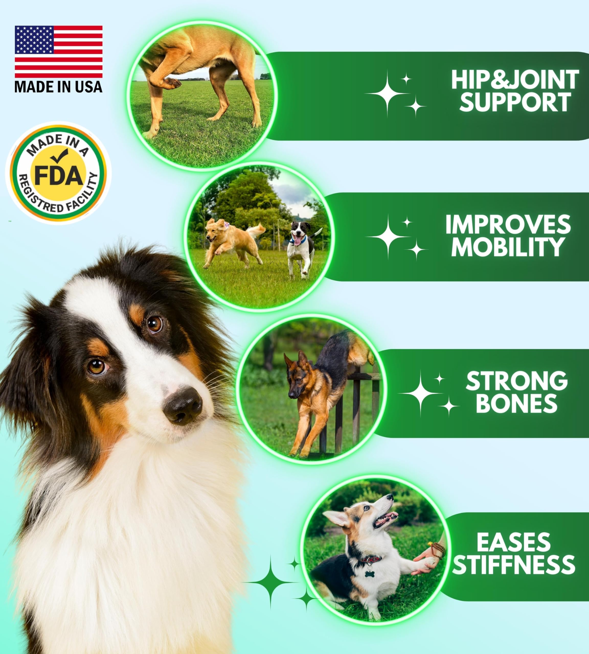 Pawious Hip and Joint Chews for Dogs - Glucosamine for Dogs - Dog Joint Pain Relief - Chondroitin, MSM, Turmeric, Hemp Oil Treats - Advanced Support Dog Joint Supplement Health - Mobility Bites