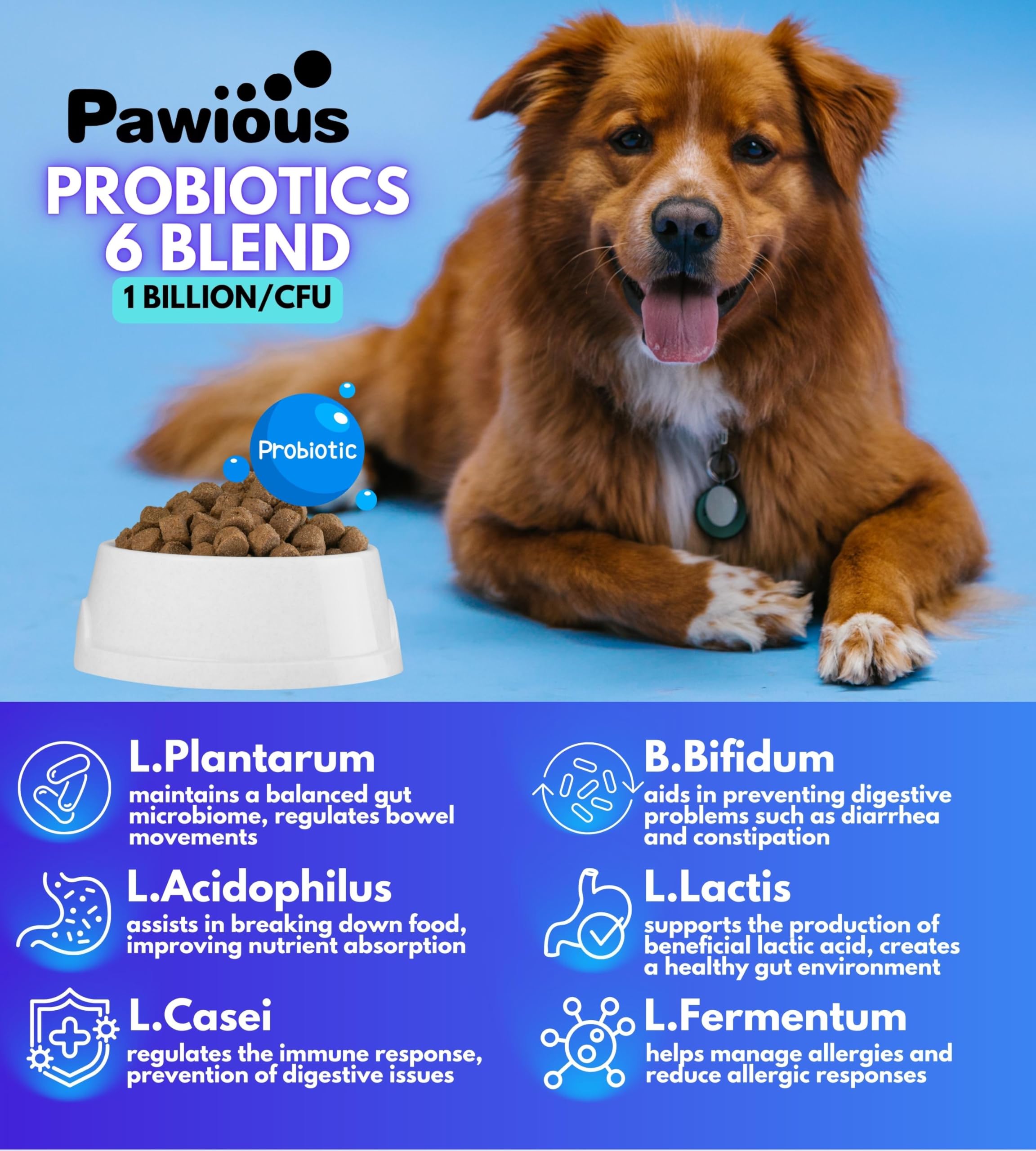 Probiotics for Dogs - Digestive Enzymes Gut Flora, Digestive Health, Immune System - Diarrhea Support, Itchy Skin, Allergies - Pumpkin, Flaxseed Meal, Papaya Powder - Probiotic Chews for Dogs