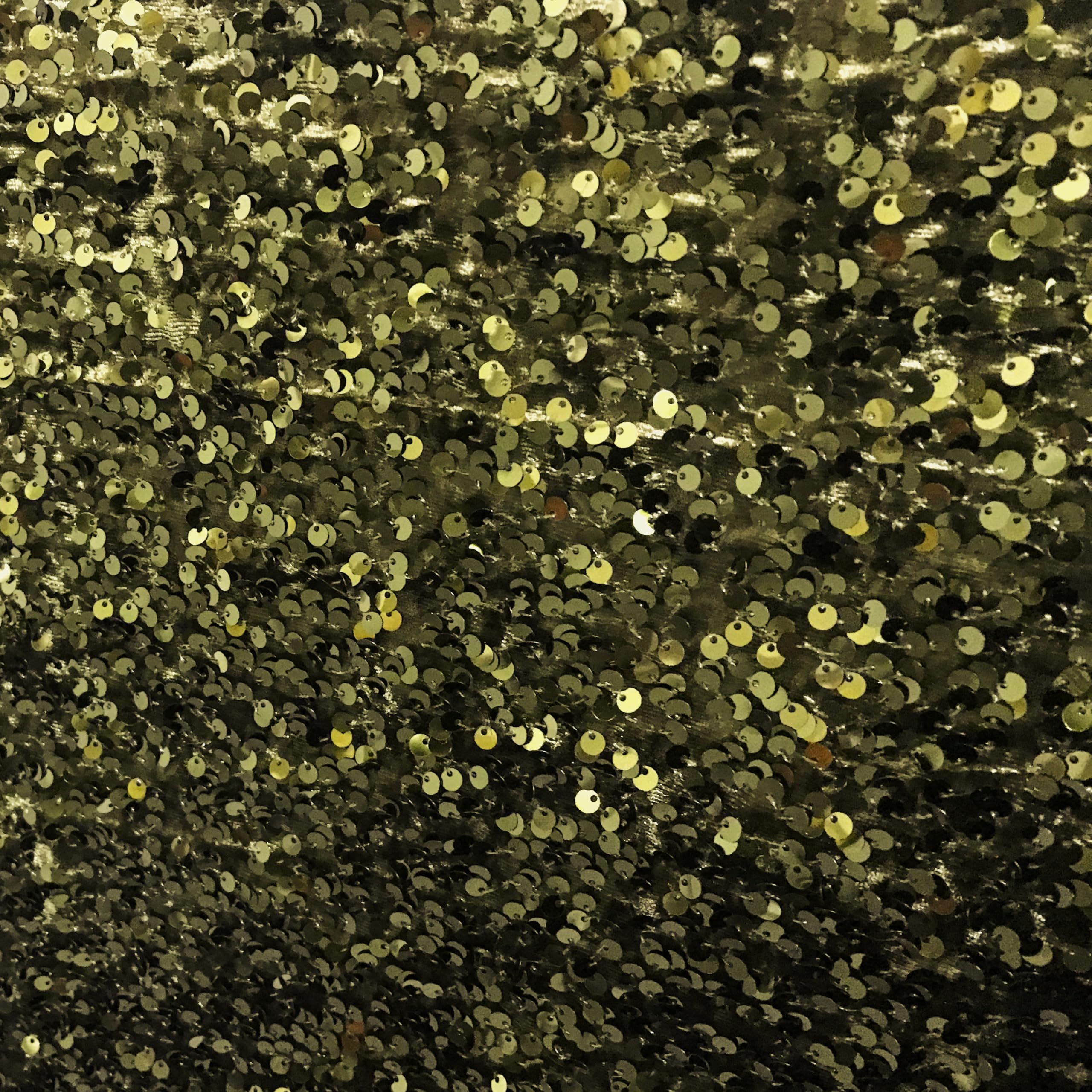 Sequins Stretch Velvet by Elotex International Fabric (Olive)