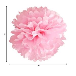 Hot Pink Tissue Paper Pom Poms Paper Flower Ball 12Pcs for Wedding ,Bachelorette, Baby Shower, Bridal Shower and Pink Party Decorations(8 &10 & 12 inch)