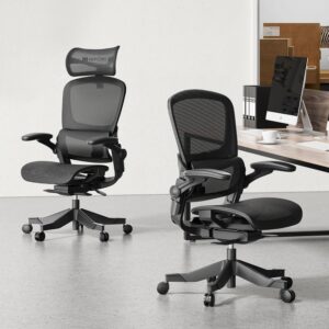 HINOMI H1 Classic V3 Ergonomic Office Chair with Lumbar Support - Comfy Computer Chair with Mesh, Home Office Desk Chair with Adjustable Arms, Comfortable Office Chair Back Support (with Headrest)