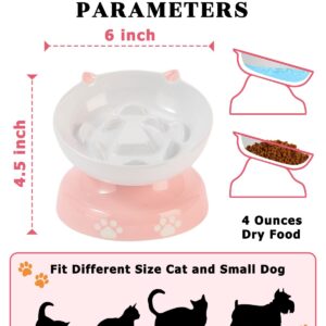 Y YHY Ceramic Slow Feeder Cat Bowl, Elevated Cat Bowl Tilted Design Slow Feeder for Dog and Cat for Dry and Wet Food, Pink