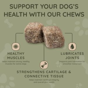 Asher House Wellness Hip and Joint Supplement for Dogs - Natural Soft Chew with MSM, Chondroitin, Glucosamine, Vitamins - Promotes Joint Health & Pain Relief Senior & All Dog Breeds, Large, 120 Chews