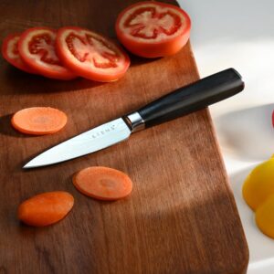 Etens 3.5 Inch Bar Paring Knife with Large Black Handle, Small Kitchen Knife for Fruit Vegetables, Professional Sharp Pairing Knives/High Carbon Stainless Steel