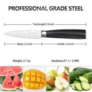 Etens 3.5 Inch Bar Paring Knife with Large Black Handle, Small Kitchen Knife for Fruit Vegetables, Professional Sharp Pairing Knives/High Carbon Stainless Steel