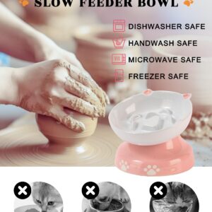 Y YHY Ceramic Slow Feeder Cat Bowl, Elevated Cat Bowl Tilted Design Slow Feeder for Dog and Cat for Dry and Wet Food, Pink