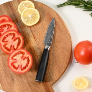 Etens 3.5 Inch Bar Paring Knife with Large Black Handle, Small Kitchen Knife for Fruit Vegetables, Professional Sharp Pairing Knives/High Carbon Stainless Steel