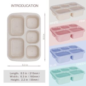 Bento Box Adult Lunch Box, 4 Pack Lunchable Containers for Adults with 5 Compartments, Meal Prep Containers Reusable for Kids, Food Storage Snack Containers for School, Work, Travel