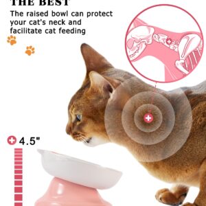 Y YHY Ceramic Slow Feeder Cat Bowl, Elevated Cat Bowl Tilted Design Slow Feeder for Dog and Cat for Dry and Wet Food, Pink