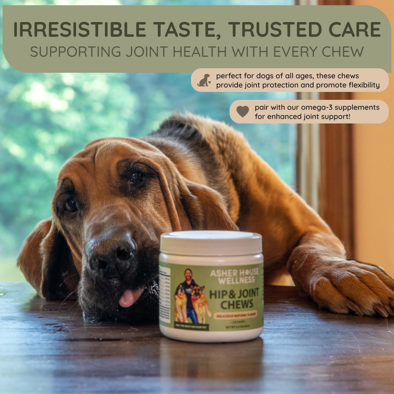 Asher House Wellness Hip and Joint Supplement for Dogs - Natural Soft Chew with MSM, Chondroitin, Glucosamine, Vitamins - Promotes Joint Health & Pain Relief Senior & All Dog Breeds, Large, 120 Chews