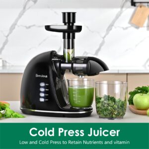 Slow Masticating Juicer,Brecious Cold Press Juicer with 2 Speed Modes & Quiet Motor,Juicer Machines Vegetable and Fruit with Reverse Function,Celery Juicer,BPA-Free,Easy to Clean (Black)