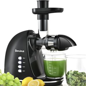 slow masticating juicer,brecious cold press juicer with 2 speed modes & quiet motor,juicer machines vegetable and fruit with reverse function,celery juicer,bpa-free,easy to clean (black)