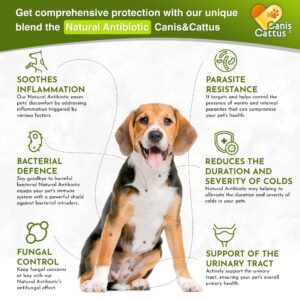 Antibiotics for Dogs | Cat Antibiotic | Pet Antibiotic | Natural Antibiotics for Cats | Dog Antibiotic | Natural Antibiotic for Dogs | Antibiotic for Cats | 2 Oz