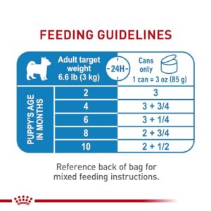 Royal Canin Size Health Nutrition X-Small Puppy Thin Slices in Gravy Wet Dog Food, 3 oz can 12-Pack