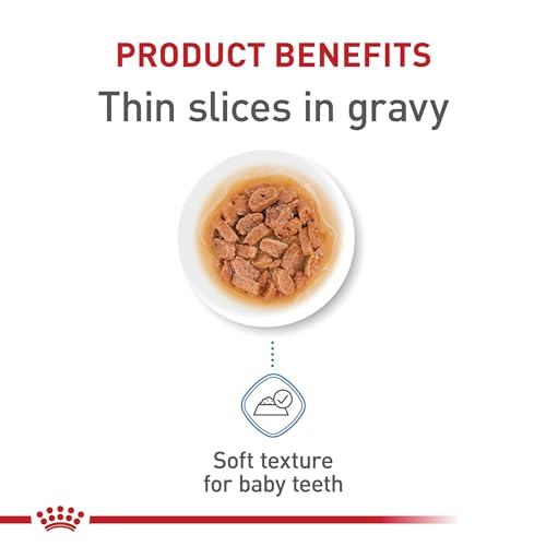 Royal Canin Size Health Nutrition X-Small Puppy Thin Slices in Gravy Wet Dog Food, 3 oz can 12-Pack