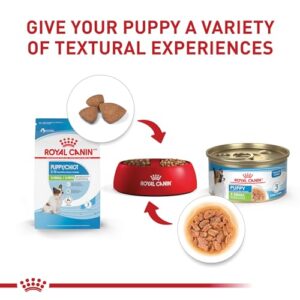 Royal Canin Size Health Nutrition X-Small Puppy Thin Slices in Gravy Wet Dog Food, 3 oz can 12-Pack