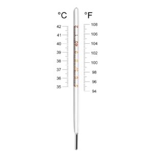 MAGICLULU 1Pc Glass Oral Temperature Adult Free Clinic Armpit Fast Reading Fever Indicator(Single Scale)…