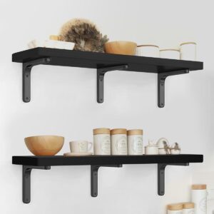 Aicoo Long Black Floating Shelves 31.3 Inches Black Shelf for Wall Decor Suitable for Living Room/Bathroom/Kitchen/Office Shelves Heavy Duty Display Shelf 2 Set