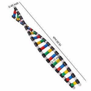 DNA Model Double Helix Structure Model DNA Assembly Biological Science Teaching Aids for DNA Double Helix Modesl kit