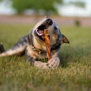 Redbarn Pet Products All Natural 8-12" Braided Bully Sticks for Medium & Large Dogs - Healthy Long Lasting Beef Chews Variety Party Pack - Single Ingredient Low Odor Rawhide Free - 1 lb Bag