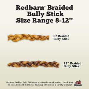 Redbarn Pet Products All Natural 8-12" Braided Bully Sticks for Medium & Large Dogs - Healthy Long Lasting Beef Chews Variety Party Pack - Single Ingredient Low Odor Rawhide Free - 1 lb Bag