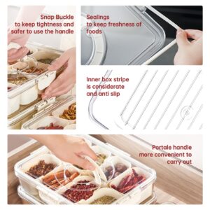 ALEXPRE Divided Serving Tray with Lid,Snack Box,Portable Snack Platters Organizer,Charcuterie Snackle Box Container with 8 Compartments & 5 Forks,Food Storage Containers,Keep Your Candy,Chips Fresh.