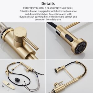 Brushed Gold Kitchen Faucet with Pull Down Sprayer, RV Brass Kitchen Faucet Stainless Steel Single Handle Spring Faucet with Deck Plate for Farmhouse Utility bar Laundry Sinks,Grifos De Cocina