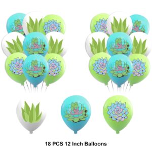 Succulent Plants Birthday Party Decorations Succulent Plants Party Supplies Includes Birthday Banner Cake Cupcake Toppers Hanging Swirls Balloons for Succulent Plant Birthday Baby Bridal Shower Decor