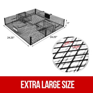 Squirrel Trap (No Bottom Tray) - Ideal for Chipmunks and Squirrels, Metal Construction, Holds up to 25 Squirrels, 2 Traps