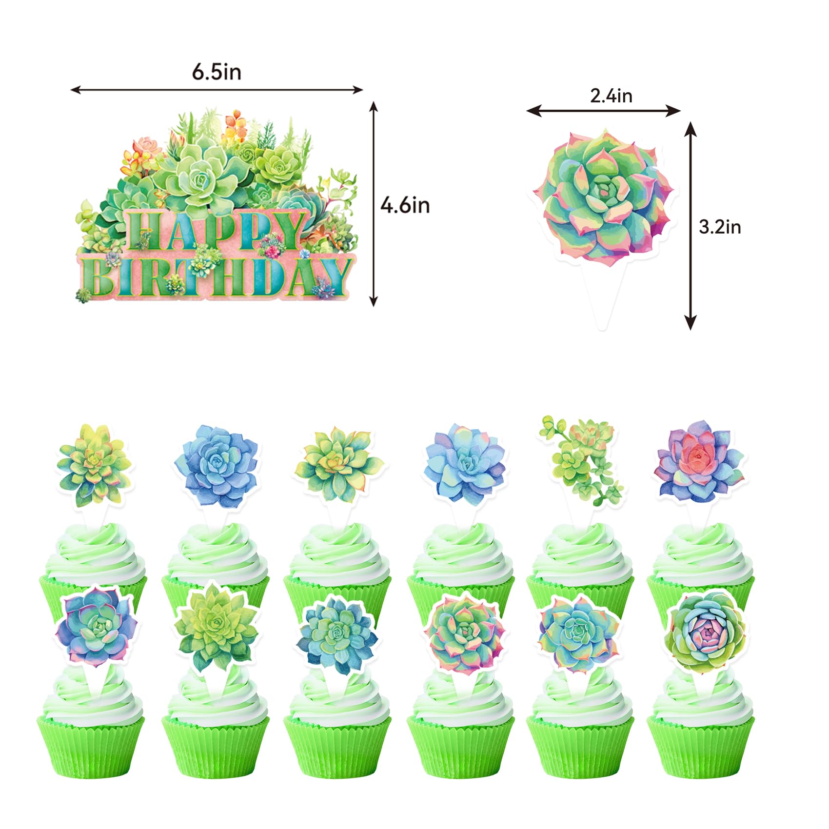 Succulent Plants Birthday Party Decorations Succulent Plants Party Supplies Includes Birthday Banner Cake Cupcake Toppers Hanging Swirls Balloons for Succulent Plant Birthday Baby Bridal Shower Decor