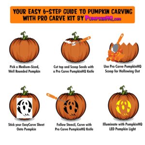 Pumpkin Carving Kit – Stainless Steel tools including 2 serrated Knives and 1 Scoop for scraping – Professional Heavy Duty Pumpkin Carving Kit for beginners and pros for Halloween Door Decorations