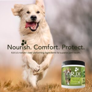 NUSENTIA Joint Health Supplement for Dogs, RJX Powder (144 G) - Extra Strength Glucosamine, Chondroitin, MSM