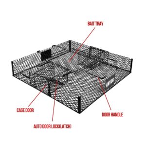 Squirrel Trap (No Bottom Tray) - Ideal for Chipmunks and Squirrels, Metal Construction, Holds up to 25 Squirrels, 2 Traps