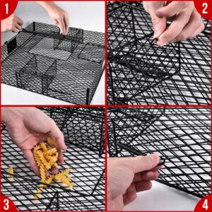 Squirrel Trap (No Bottom Tray) - Ideal for Chipmunks and Squirrels, Metal Construction, Holds up to 25 Squirrels, 2 Traps