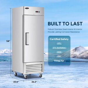 FRICOOL Commercial Refrigerator with Single Solid Door, 23 cu.ft Stainless Steel Reach-in Merchandiser Upright Freezerless Refrigerator for Restaurant, Bar, Shop, Residential Beverages and Drinks