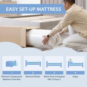 HOMES: Inside + Out Nixy Twin Size Mattress 5 Inch Foam Mattress in a Box, Bamboo Charcoal Foam Mixed High-Density Base for Cool Sleep & Pressure Relief, Medium Firm CertiPUR-US Certified Mattresses