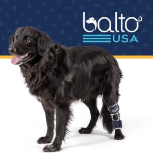 Balto Flexor Adjustable Hinged Dog Hock Brace – Ankle Brace –Variable Range of Motion or Full Immobilization – Post Surgical Support or Surgical Alternative – Back Leg (Medium/Large)