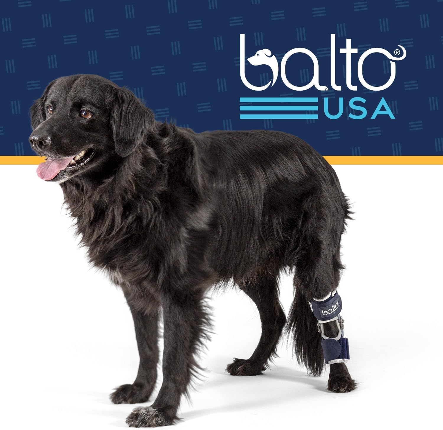 Balto Flexor Adjustable Hinged Dog Hock Brace – Ankle Brace –Variable Range of Motion or Full Immobilization – Post Surgical Support or Surgical Alternative – Back Leg (Medium/Large)