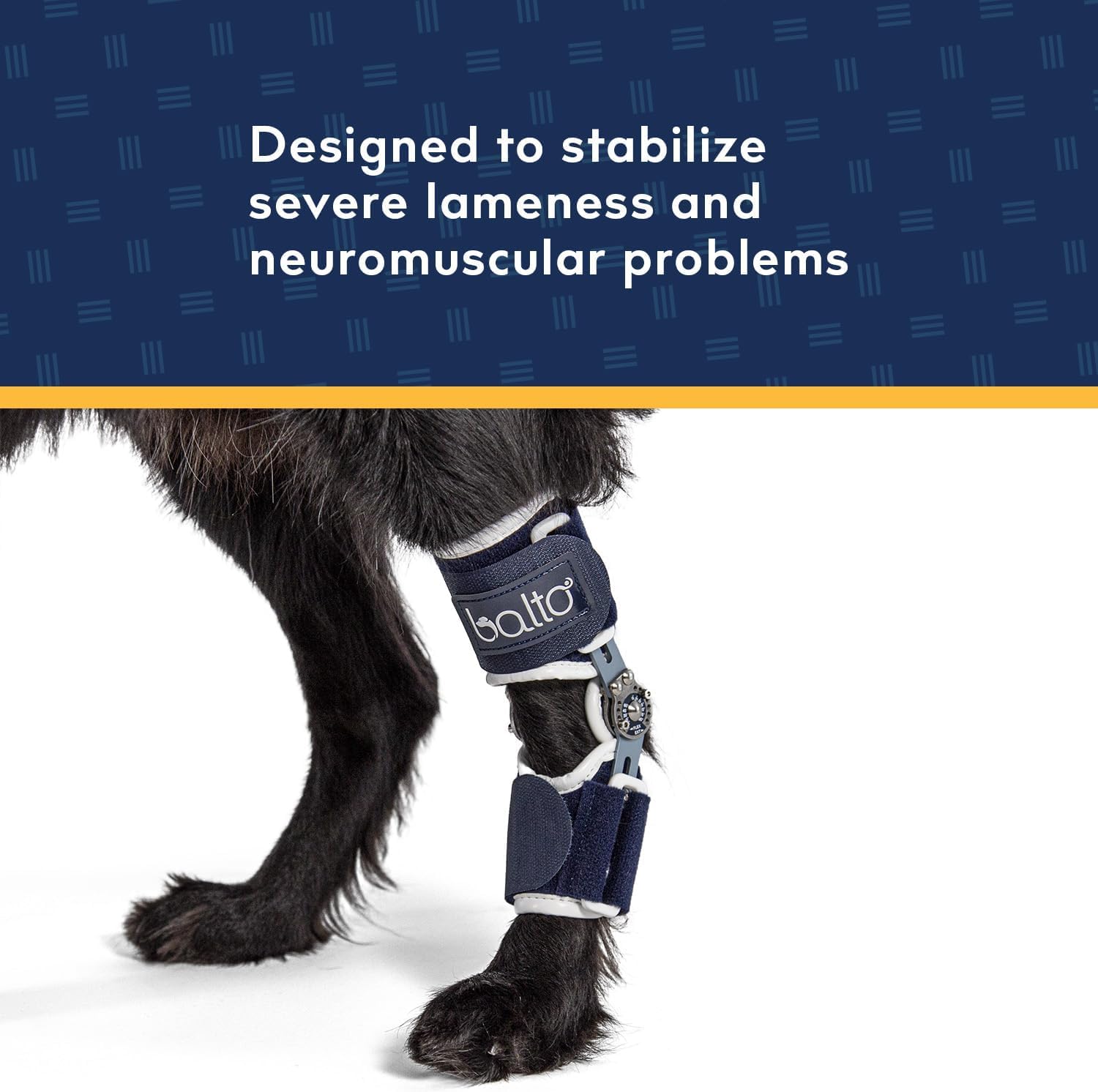 Balto Flexor Adjustable Hinged Dog Hock Brace – Ankle Brace –Variable Range of Motion or Full Immobilization – Post Surgical Support or Surgical Alternative – Back Leg (Medium/Large)