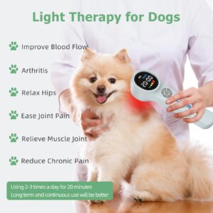 Dawfek Laser Therapy for Dogs, 4x980nm+4x810nm+16x660nm, Cold Laser Therapy Device for Horses, Veterinary Laser Therapy Machine, Pet Cold Laser Therapy Device, Laser Treatment for Animals at Home