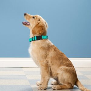 PWOD Reflective Dog Collar, Adjustable Soft Neoprene Padded Nylon Pet Collars with Buckle for Medium Dogs, Teal,M