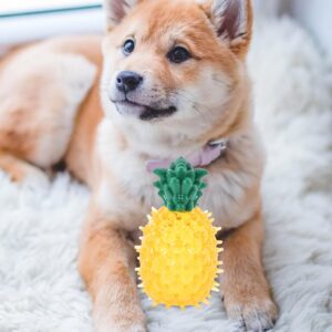 LOGOFUN Dog Cooling Toy Frozen Dog Toys for Teething Freezable Pet Teether Cooling Chew Toys Pineapple Shape Puppy Chew Toys for Summer Party