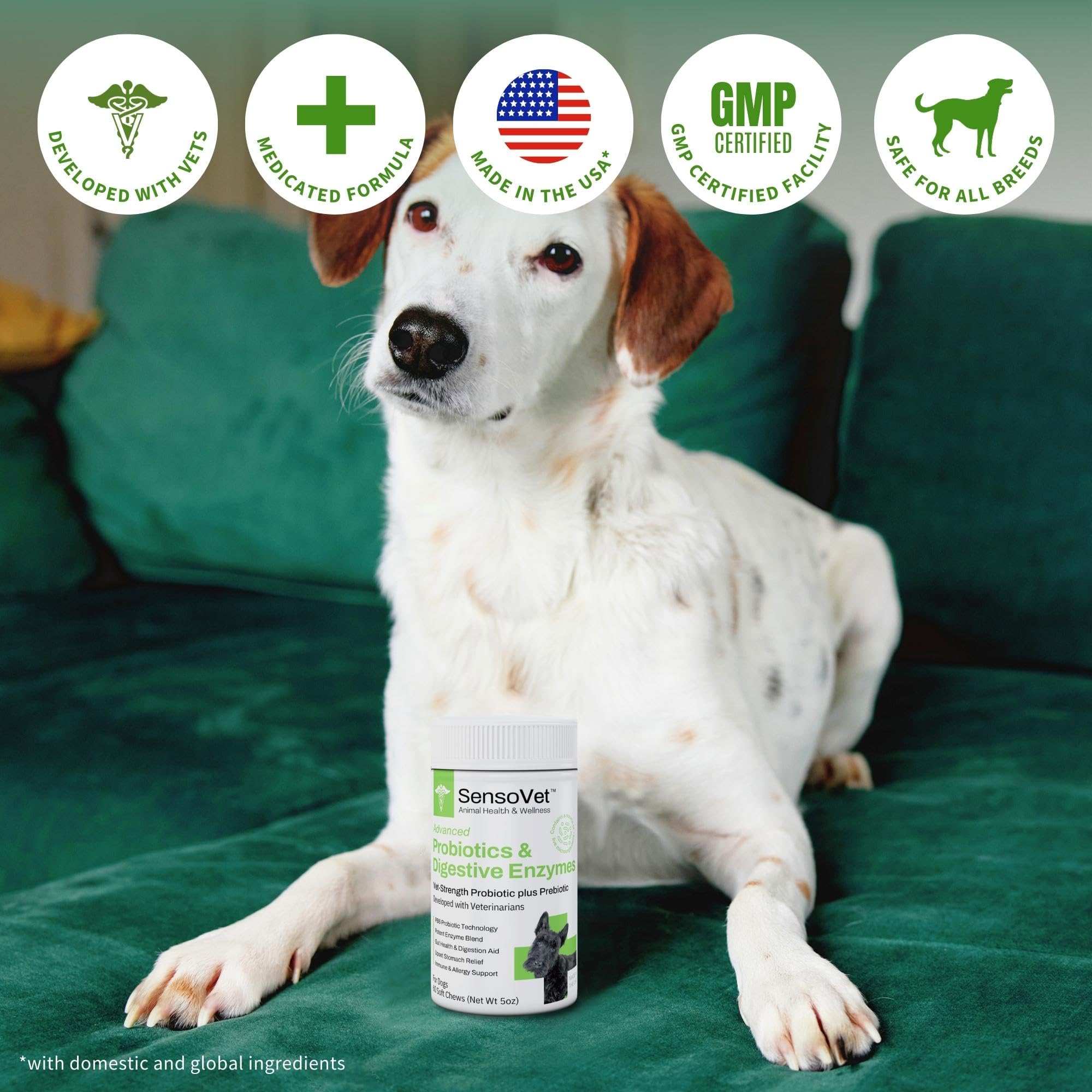 Probiotics for Dogs with Prebiotics and Digestive Enzymes - Allergy Relief