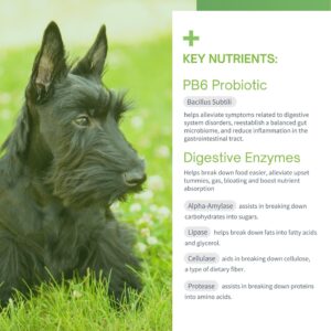 Probiotics for Dogs with Prebiotics and Digestive Enzymes - Allergy Relief