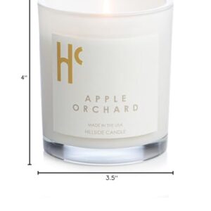 Hillside Candle Apple Orchard Scented Candles, Single Wick Soy Candles, Luxury Candles, Scented Candles for Home, Apple Candle (9 oz)