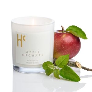 Hillside Candle Apple Orchard Scented Candles, Single Wick Soy Candles, Luxury Candles, Scented Candles for Home, Apple Candle (9 oz)