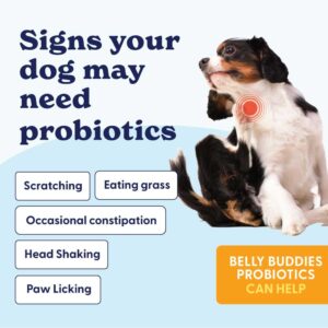 Origin Labs Belly Buddies Probiotics for Dogs, 5 Billion CFUs Prebiotics & Probiotics for Gut Health, 7 Strain Probiotic Blend, Immune Support, for All Dogs, Bacon Flavor, 90 Soft Chews