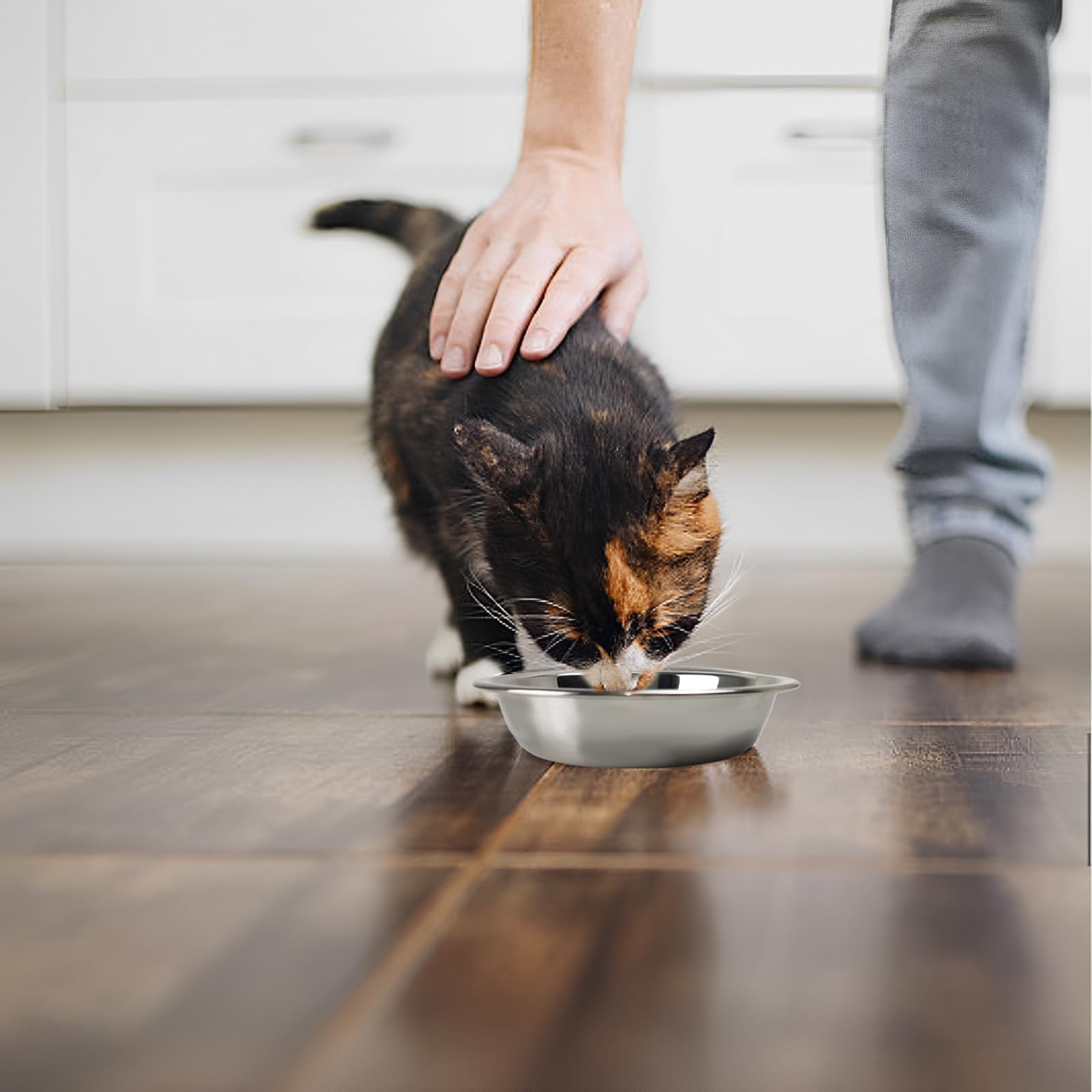 4 Pcs Stainless Steel Cat Bowls,7.1 Inches Metal Cat Bowl, Cat Food Bowls for Indoor Cats, Whisker Fatigue Cat Bowl, Shallow Cat Food Dish, Kitten Food Bowl, Elevated Food Bowls for Cats