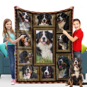 bernese mountain dog blanket, bernese mountain dog gifts for boys girls kids throw blanket for couch bed, cozy fuzzy soft fleece blanket small size 40" x 50" toddler blankets for daycare nap preschool