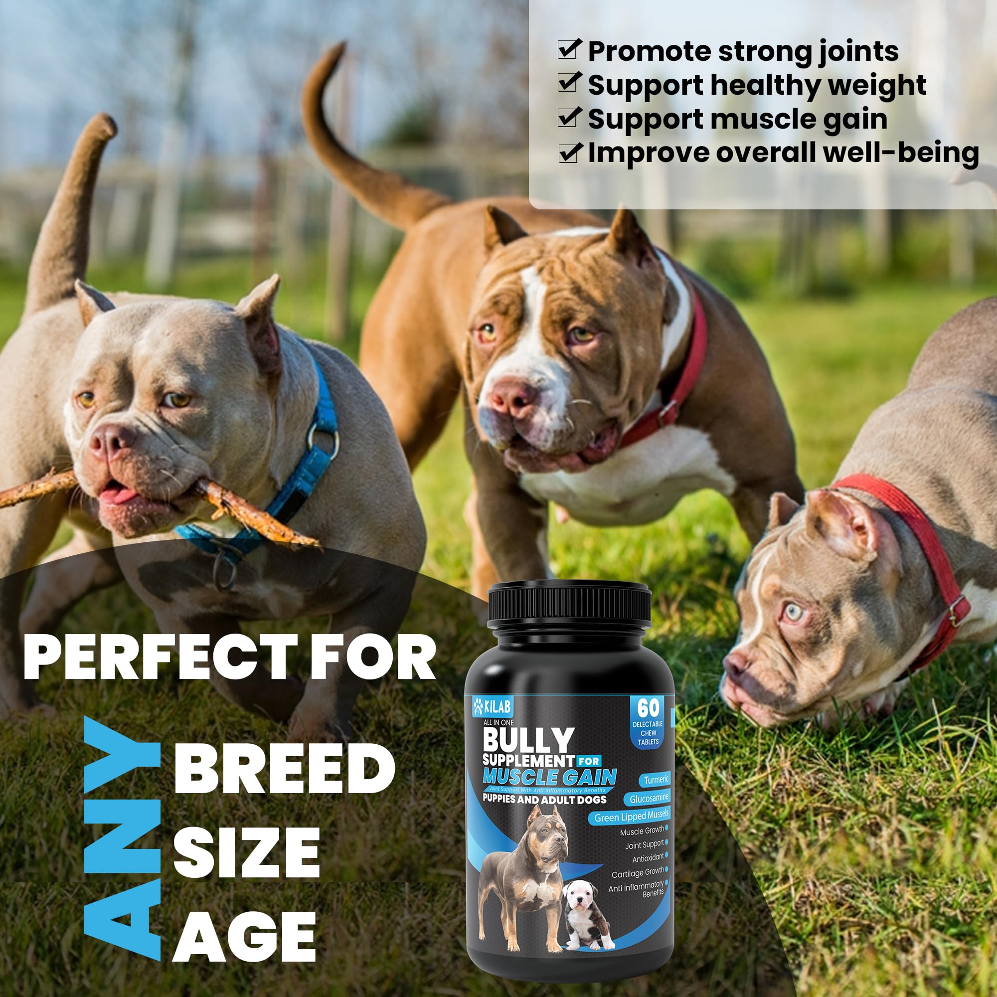 Kilab Dog Weight Gainer – 60-Count Muscle Builder Dog Supplement – Muscle Growth Supplement for Dogs, Puppies and Adults – Bully Growth Formula with Turmeric, Glucosamine, Green Lipped Mussels